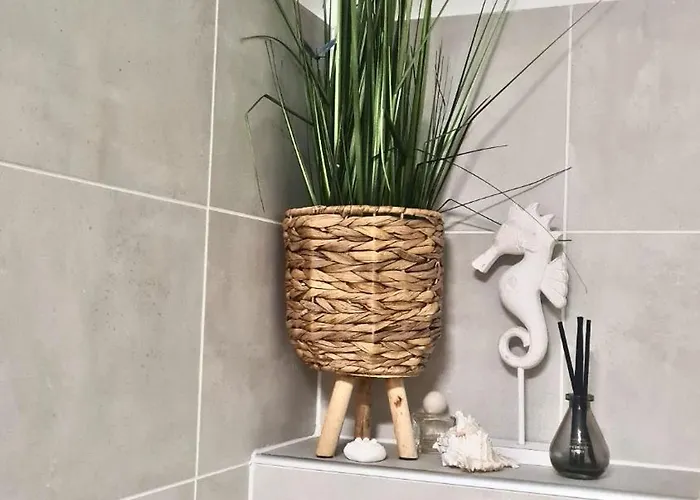 Vilagos Oliva Vakantiehuis